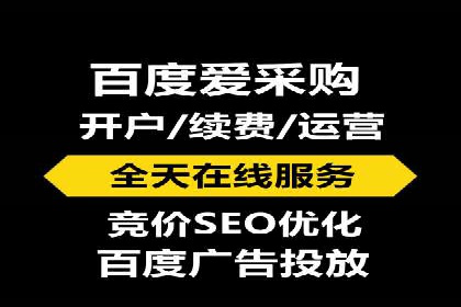 案例解读：网络推广与竞价策略